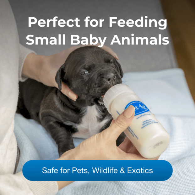 Biberón -  PET-AG NURSER BOTTLE 4 Onz3