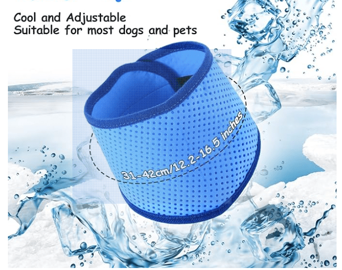 Bandana Refrigerante - Pet Cooling Scarf (Large Celeste)3
