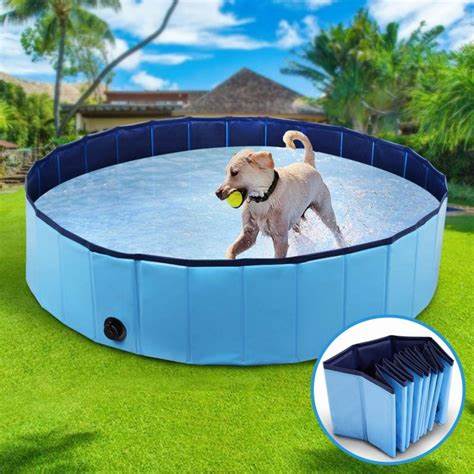 Piscina para Perros - 100cm x 30cm5