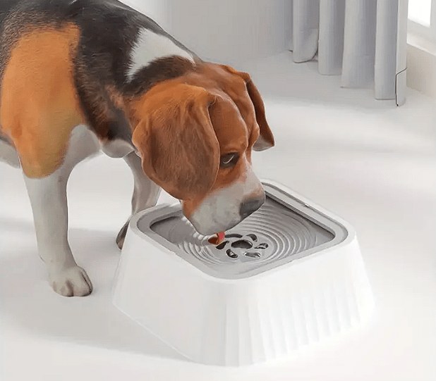 Plato para agua antiderrame para mascota2