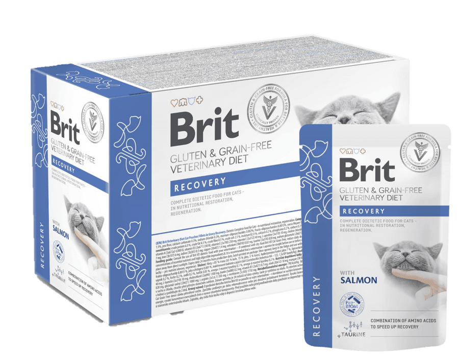 BRIT GF VET DIETS CAT POUCH FILLETS IN GRAVY RECOVERY 85gr1