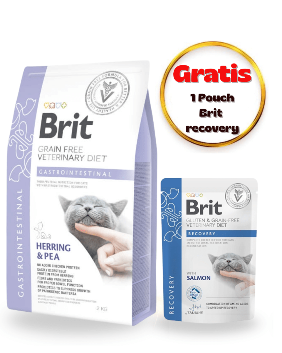 BRIT GF VET DIETS CAT GASTROINTESTINAL 2KG - Pack Cuidado1