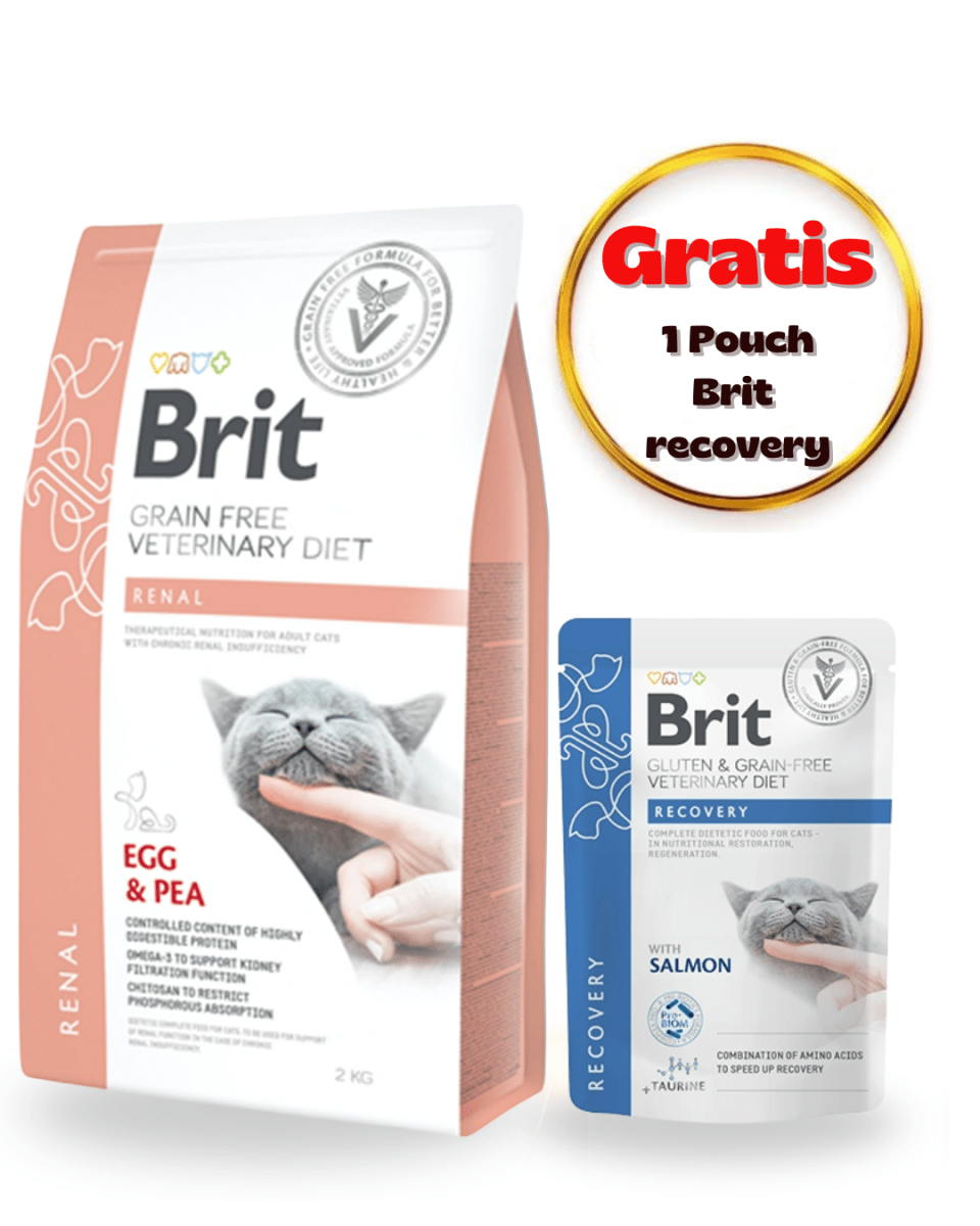BRIT GF VET DIETS CAT RENAL 2kg - PACK CUIDADO1