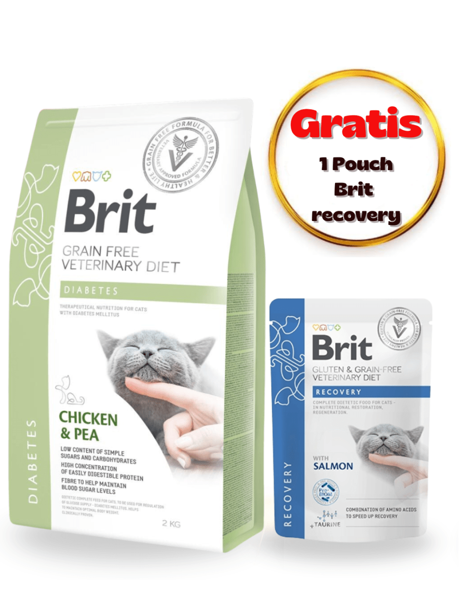 Brit GF Vet Diet Cat Diabetes 2kg - Pack Cuidado1