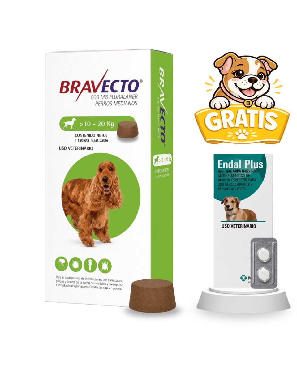 Bravecto 10 a 20kg + 2 Pastillas Endal Plus1