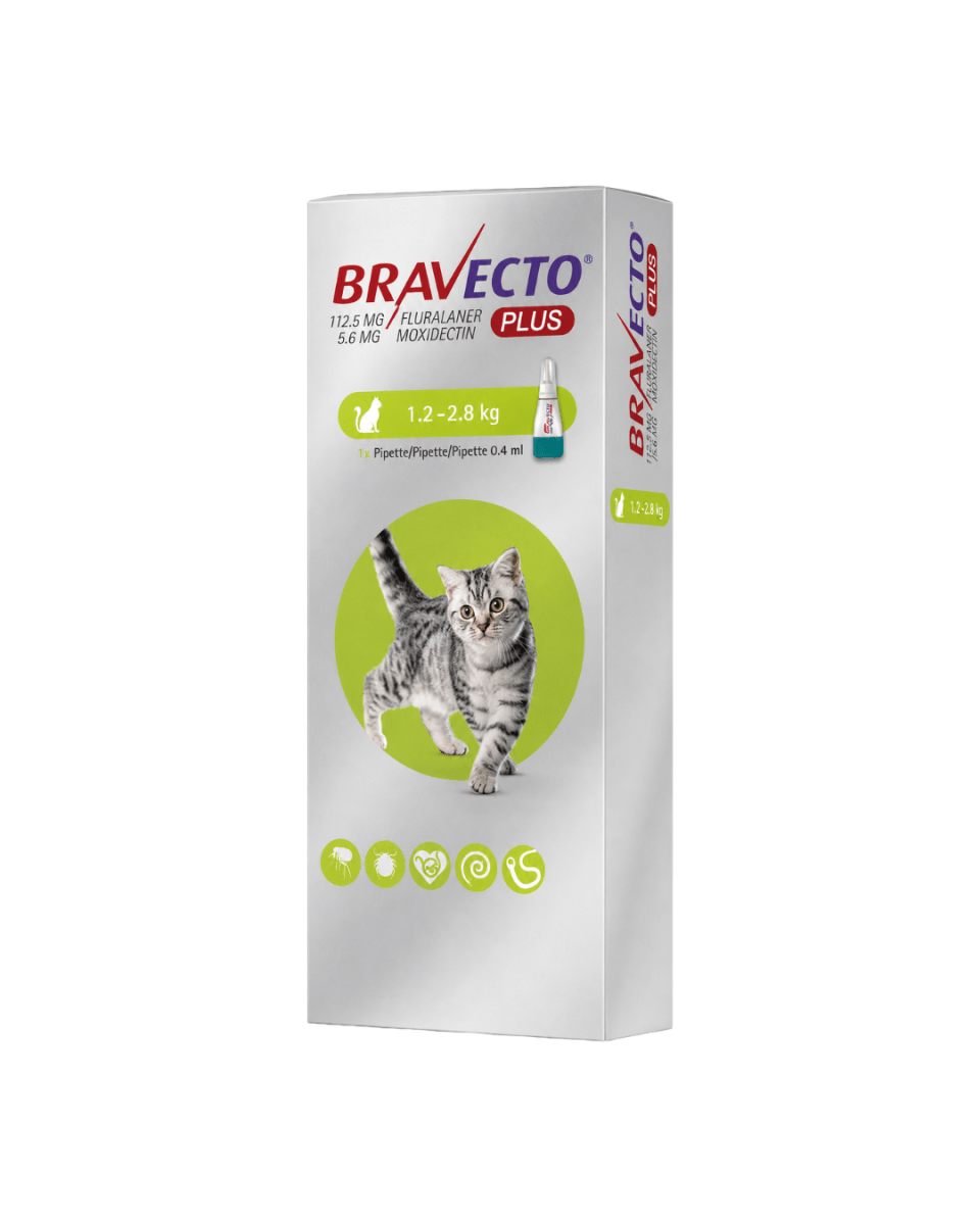 Bravecto Plus Pipeta Antipulgas para Gato - 1.2kg a 2.8kg2