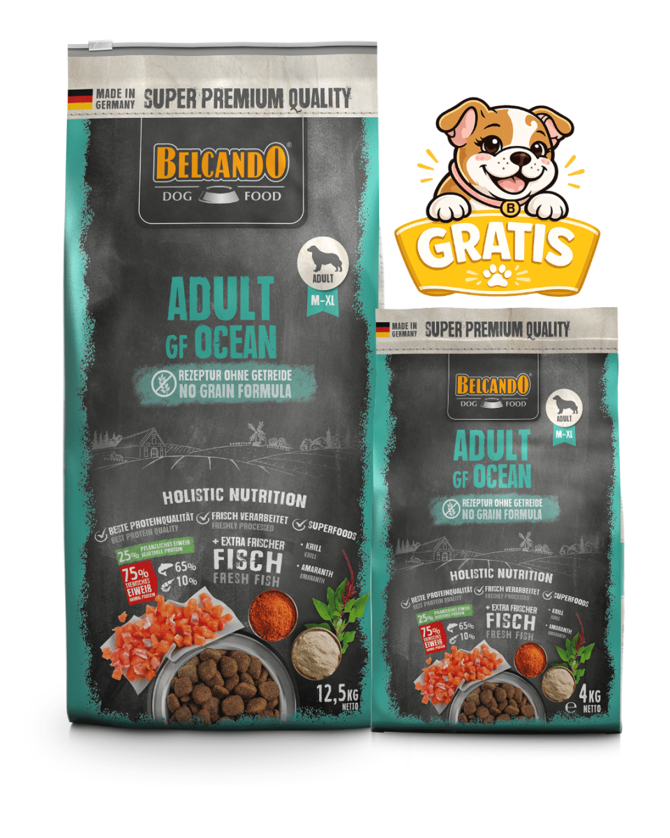 Pack Promoción Belcando Adult GF Ocean 12.5kg + 4kg Regalo1