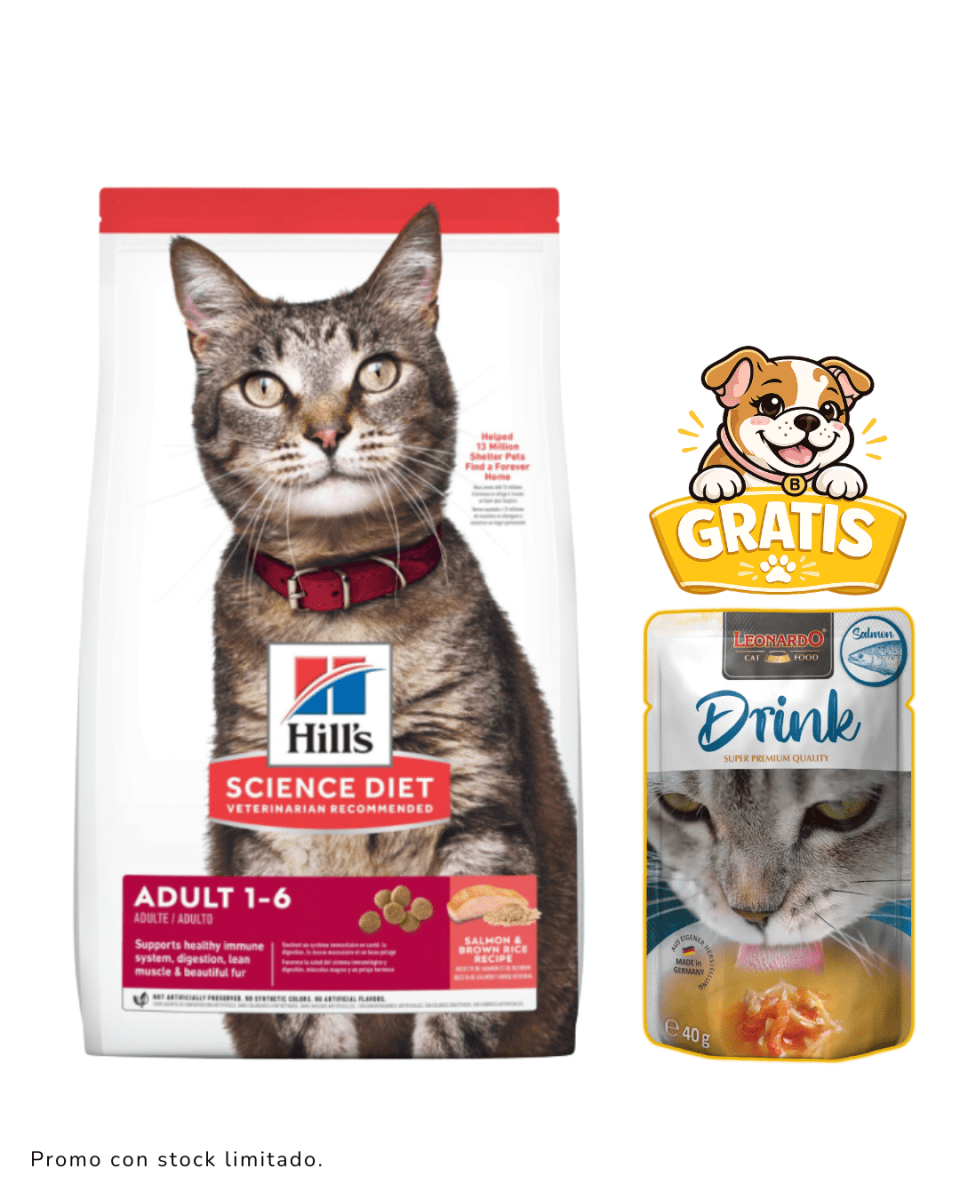Hills SD Feline Adulto Salmón 1.59Kg + drink1