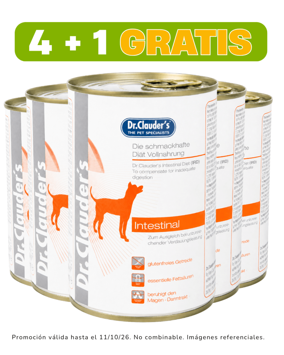 Dr. Clauders Vet Dog Intestinal 400gr (Lata) promoción 4 + 1 gratis1