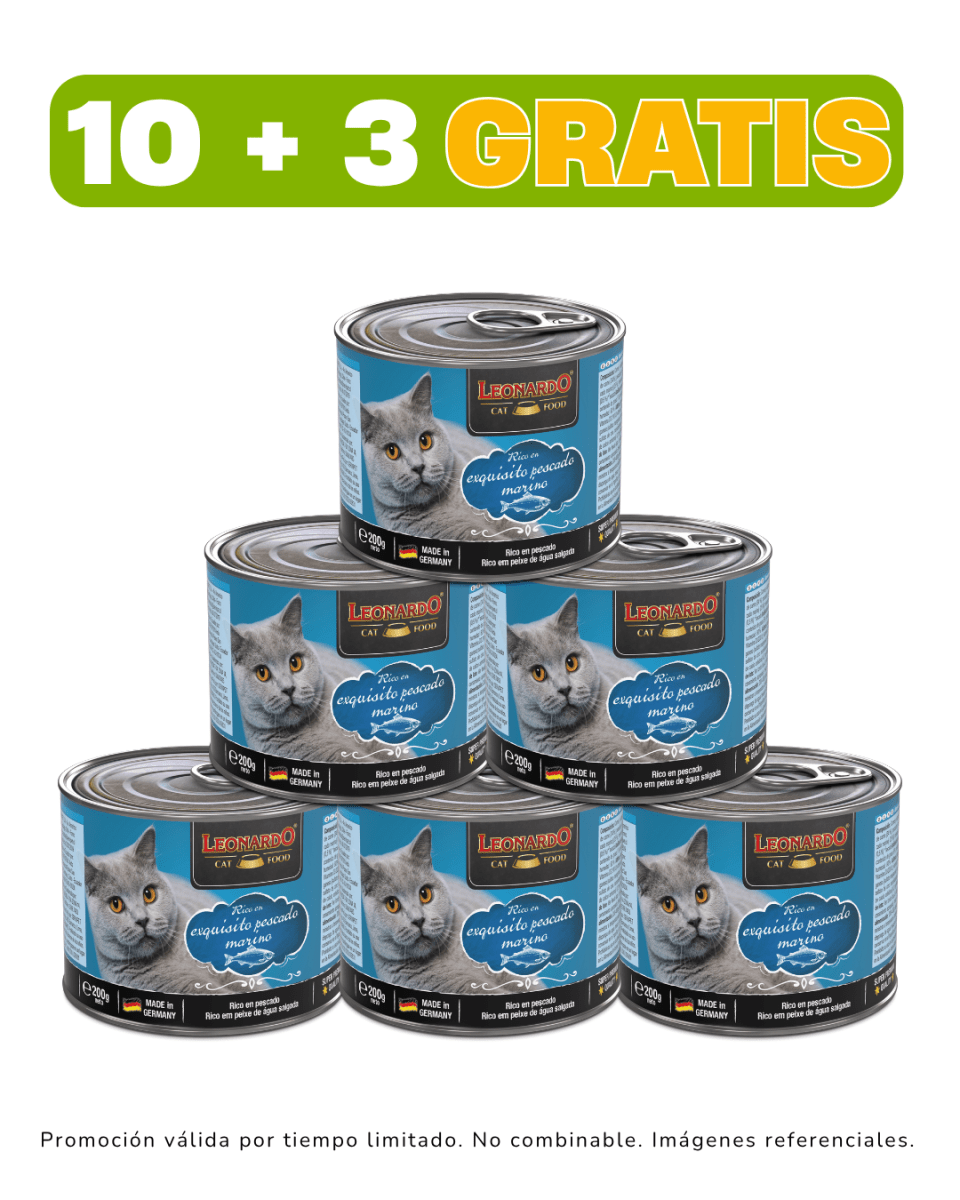 Leonardo Quality Selection Pescado 200gr promoción 10 + 3 gratis1