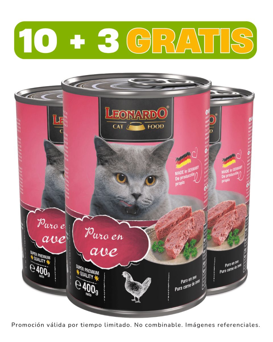 Leonardo Quality Selection Ave - 400gr promoción 10 + 3 gratis1