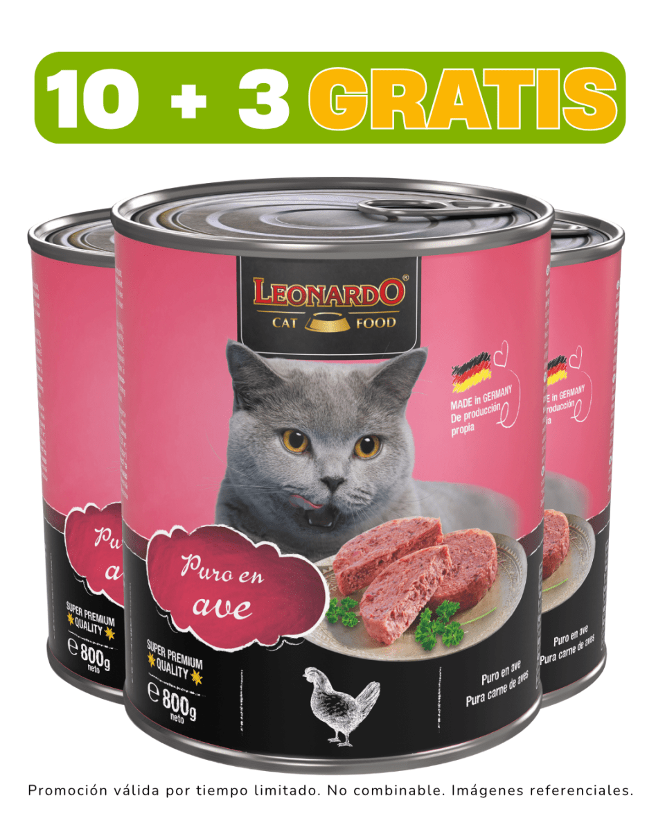 Leonardo Quality Selection Ave 800gr promoción 10 + 3 gratis1