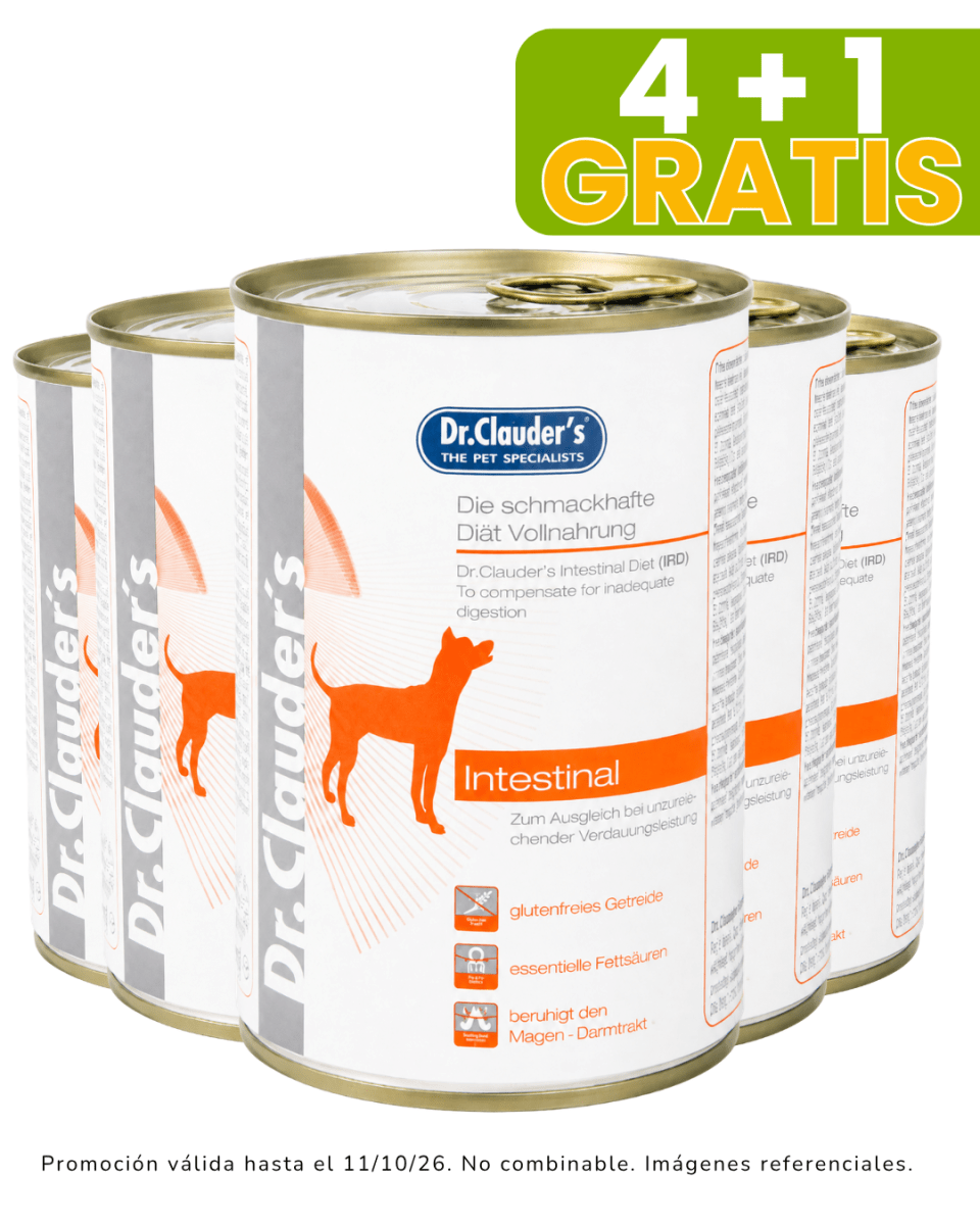 Dr. Clauders Vet Dog Intestinal 400gr (Lata) promoción 4 + 1 gratis1