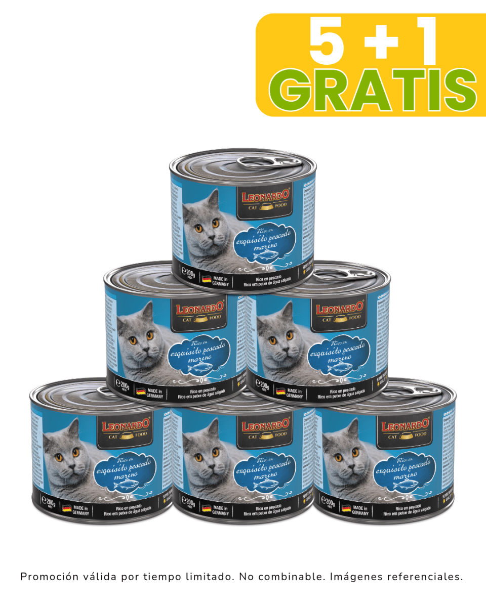 Leonardo Quality Selection Pescado 200gr promoción 5 + 1 gratis1