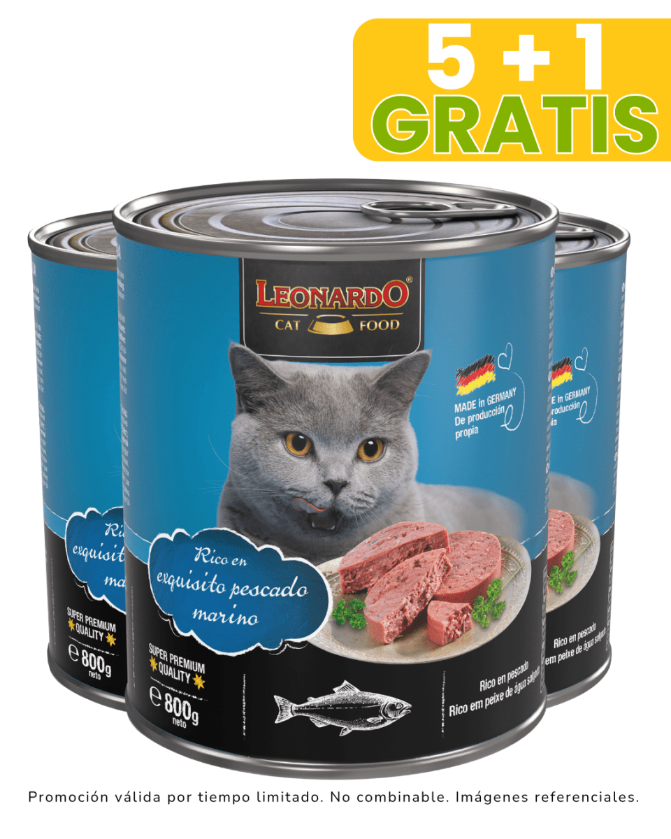 Leonardo Quality Selection Pescado 800gr promoción 5 + 1 gratis1