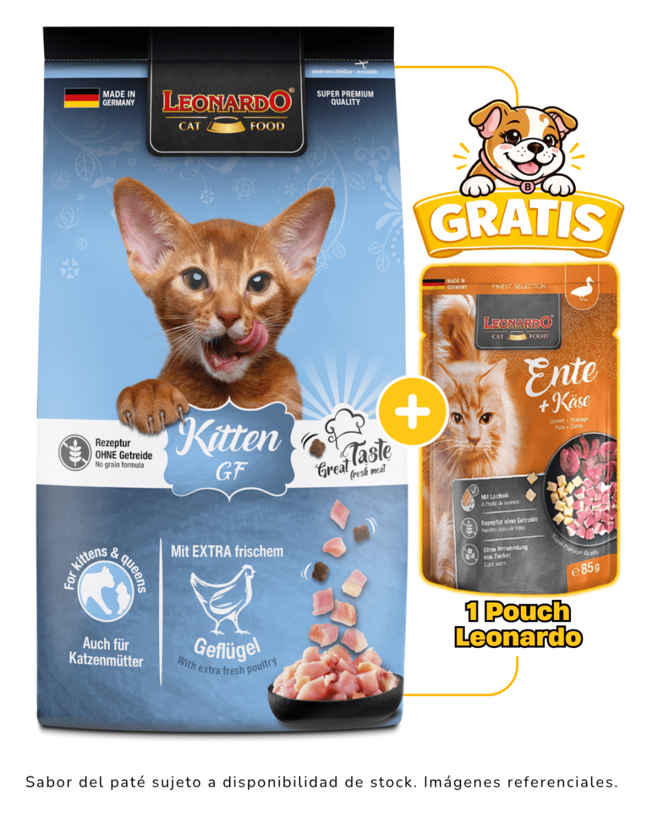 Leonardo Kitten GF 1.8kg + 1 pouch Leonardo gratis1