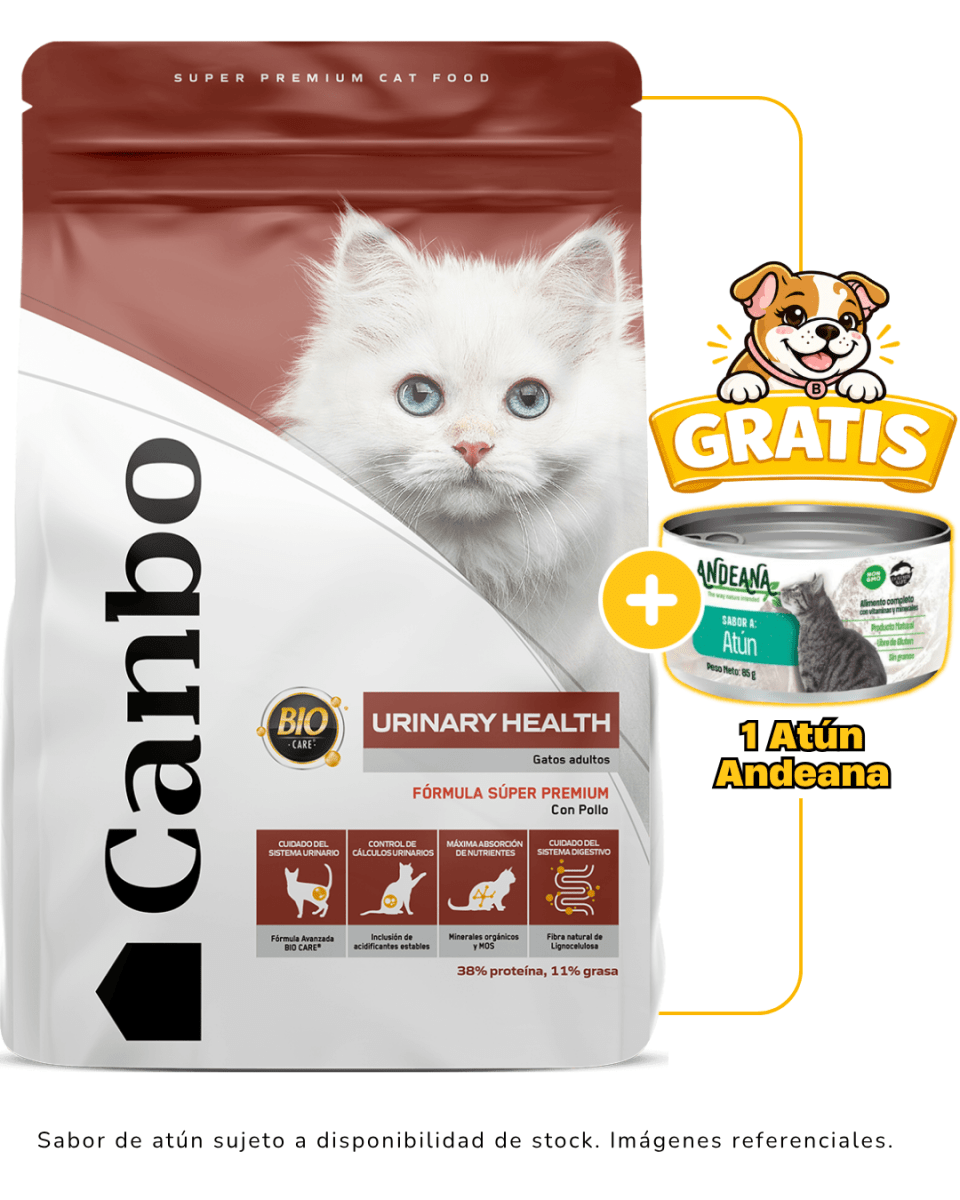 Canbo CAT Adulto Urinary Health 3kg + 1 lata Andeana gratis1