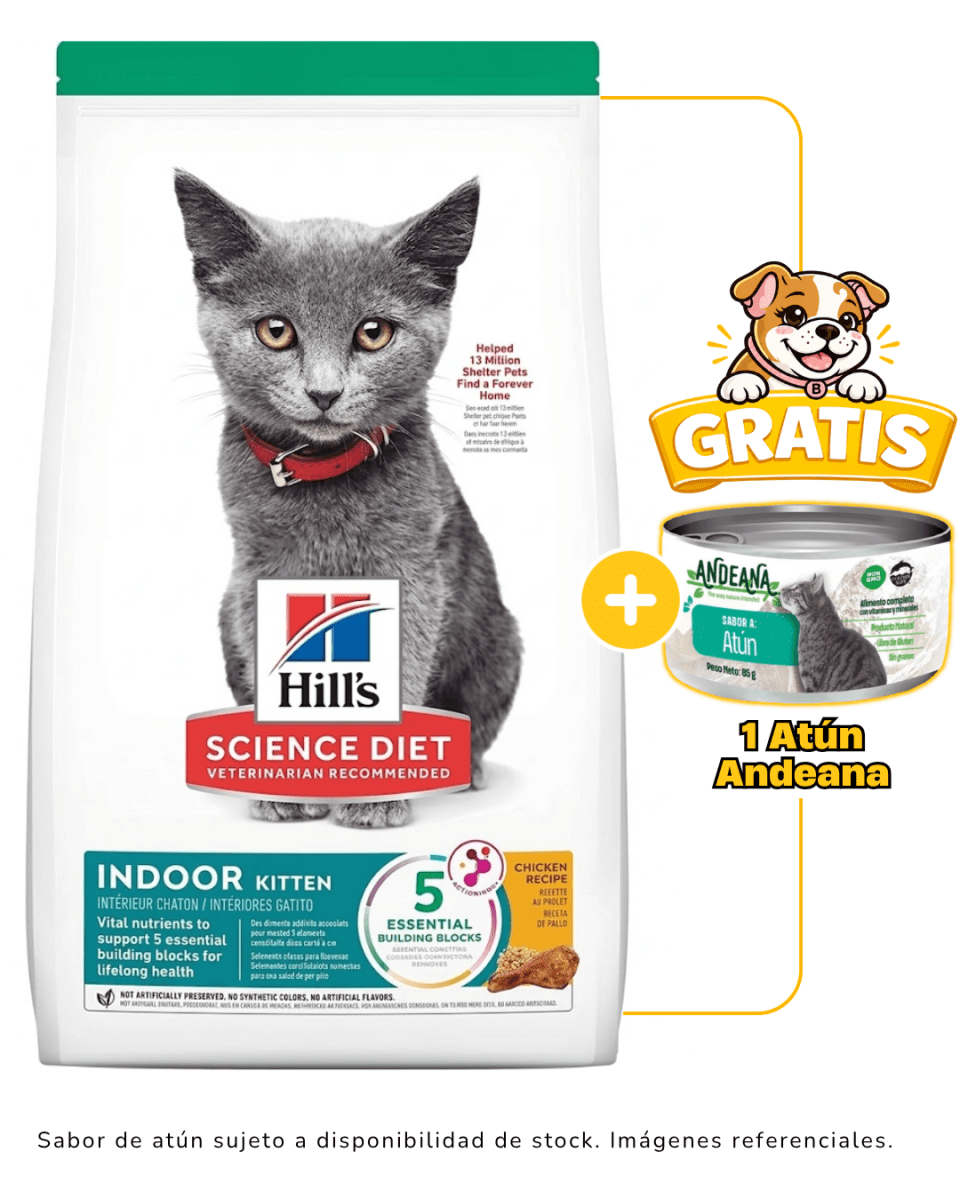 Hills SD Kitten Indoor 1.6 Kg + 1 lata Andeana gratis1