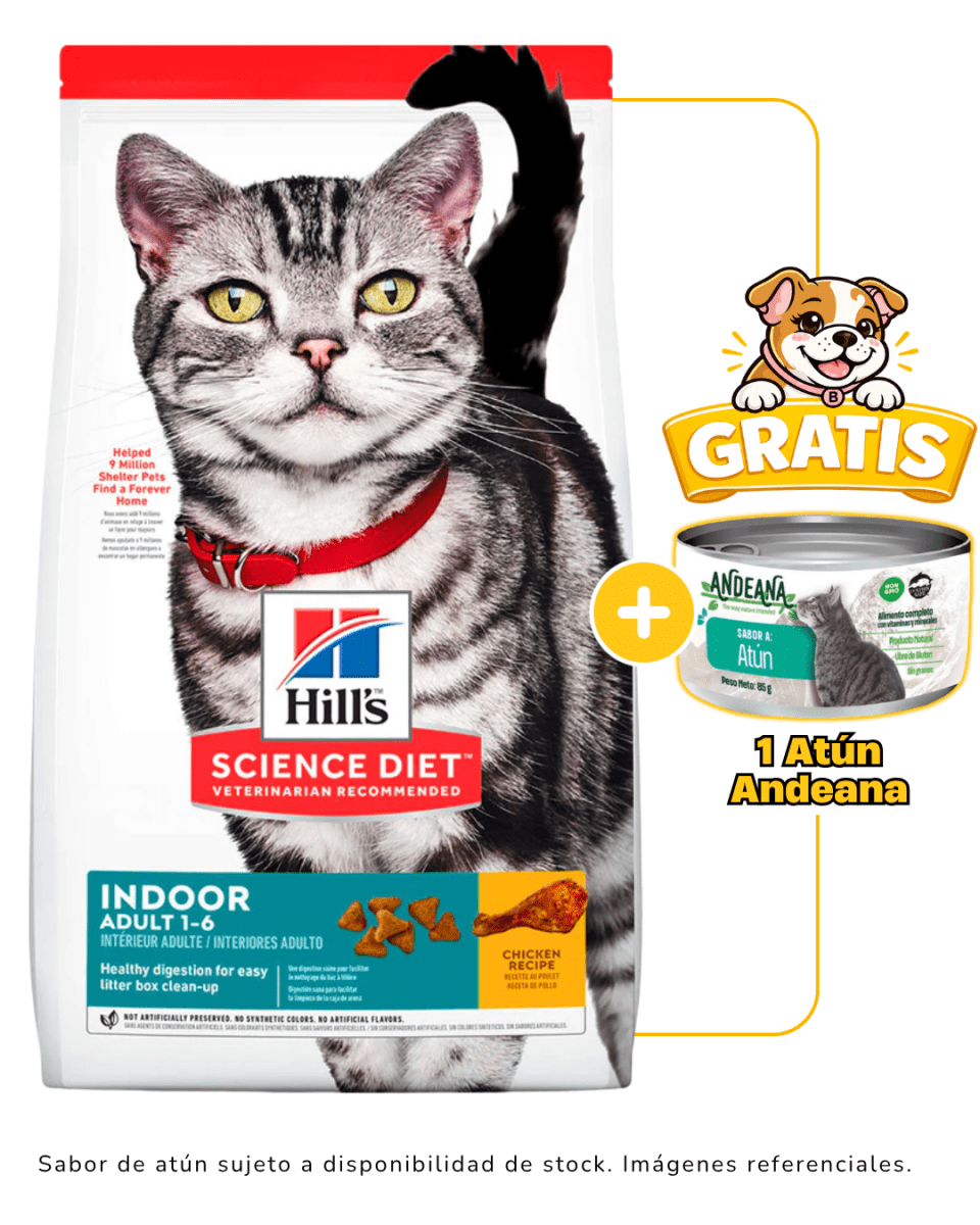 Hills SD Feline Indoor Adult 1.6kg + 1 lata Andeana gratis1