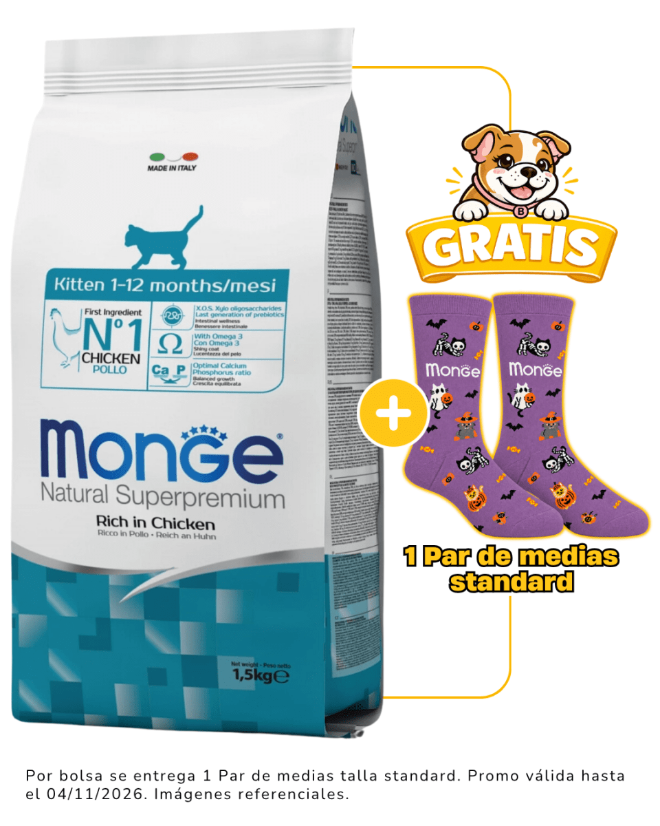 Monge Feline Kitten - 1.5kg + 1 par de medias Halloween talla standard gratis1