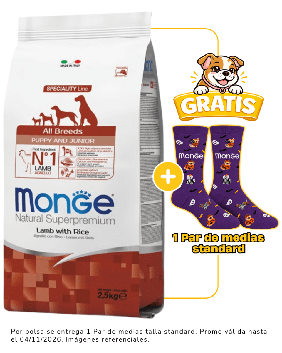 Monge Canine Puppy Cordero y Arroz 2.5kg + 1 par de medias Halloween talla standard gratis1