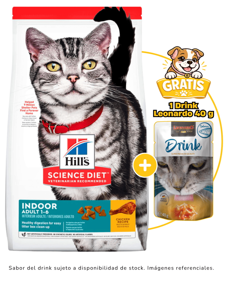 Hills SD Feline Indoor Adult 3.2kg + 1 drink leonardo gratis1