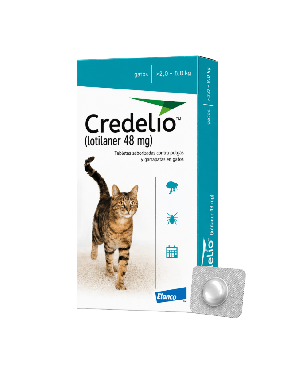 Credelio Gato De 2 A 8kg (48 Mg) x 1 Tableta1