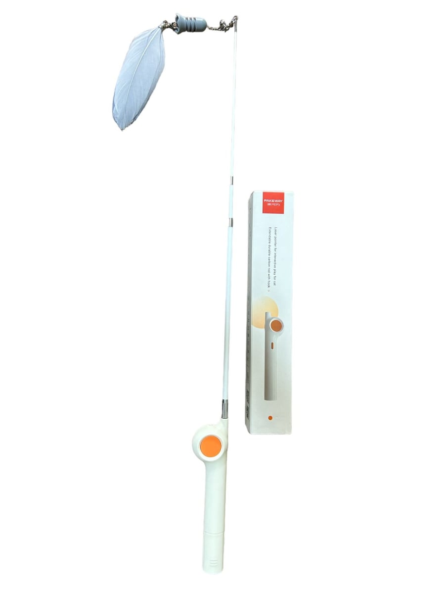 Puntero Laser - Juguete para gato1