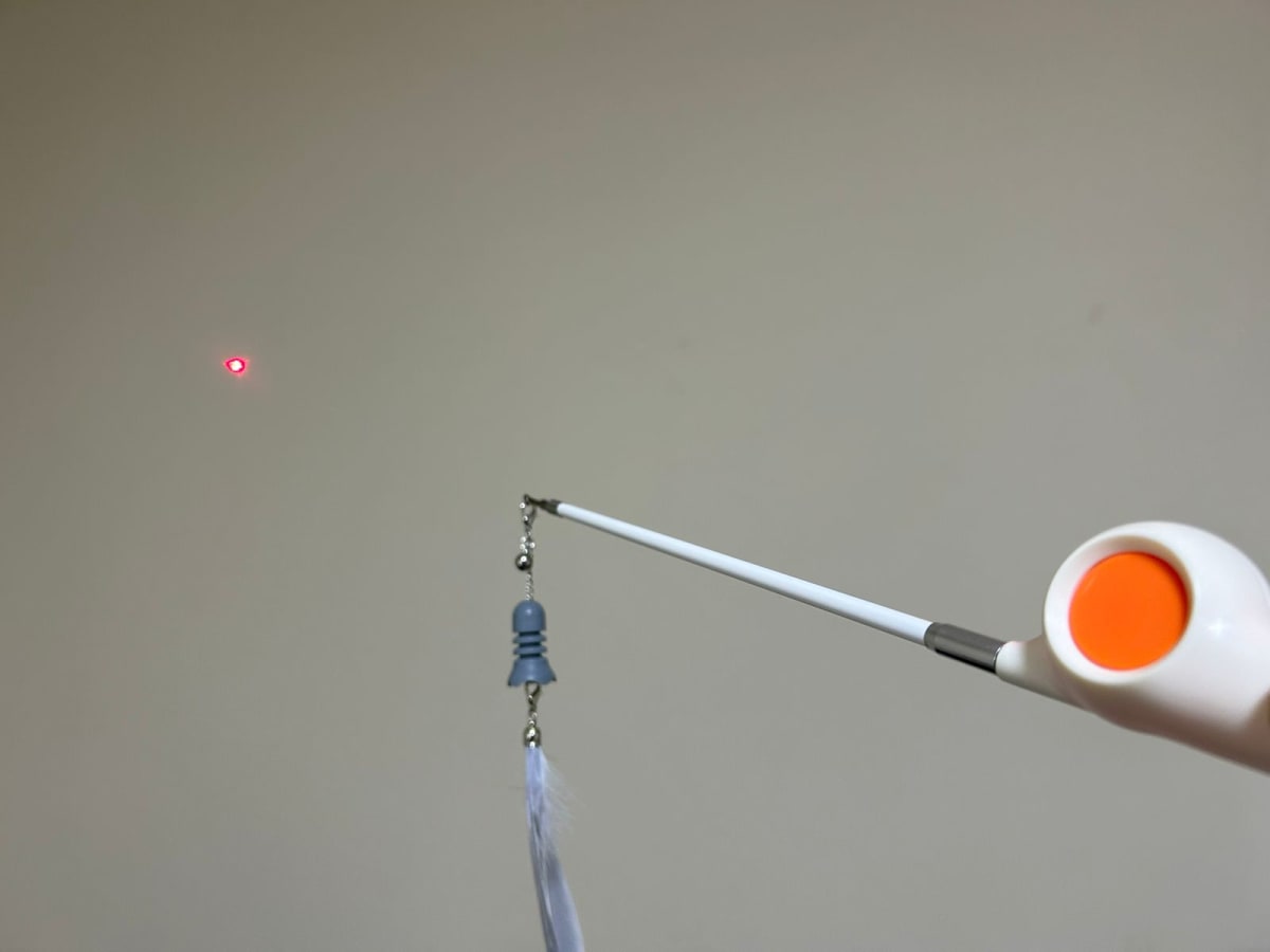 Puntero Laser - Juguete para gato2