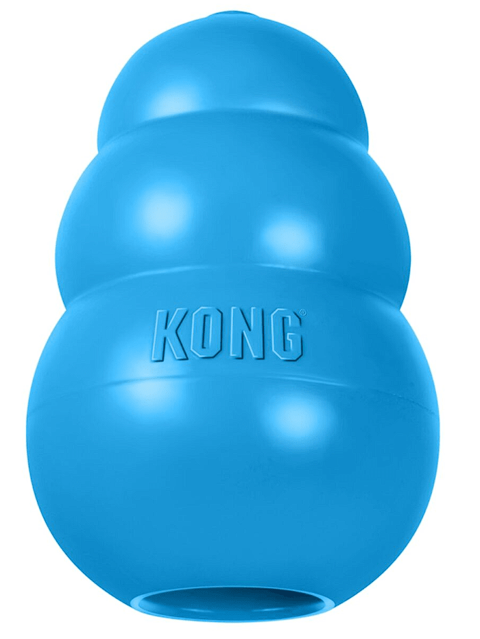 Kong Puppy Small2