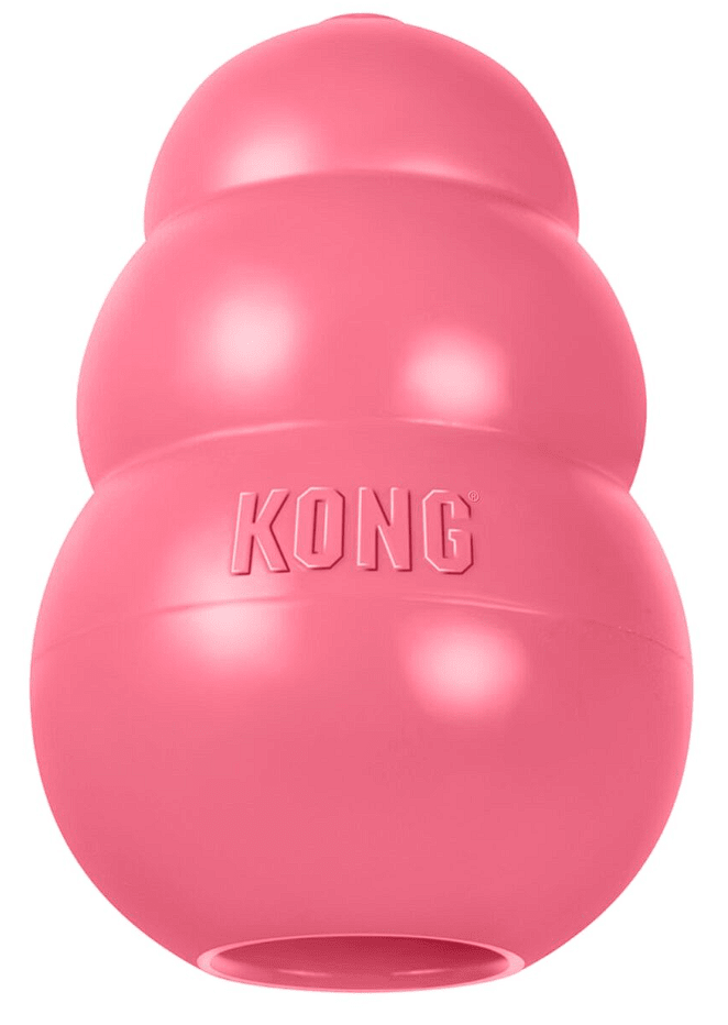 Kong Puppy Small3