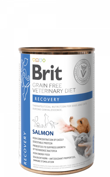 Brit GF VET Diet Dog / Cat Recovery (Lata 400 gr)1