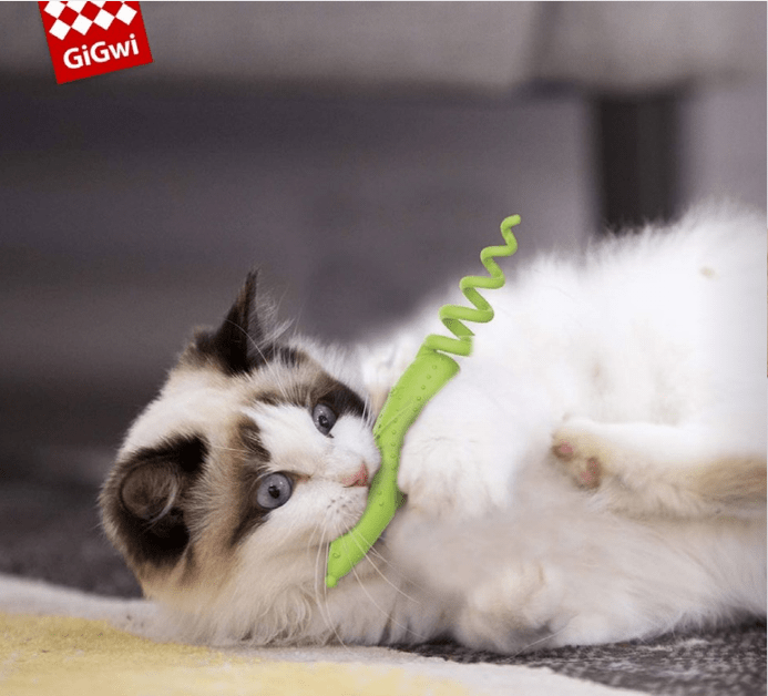 GIGWI RATON VERDE CON BOLSA PARA CATNIP (ROLL TAILED)2