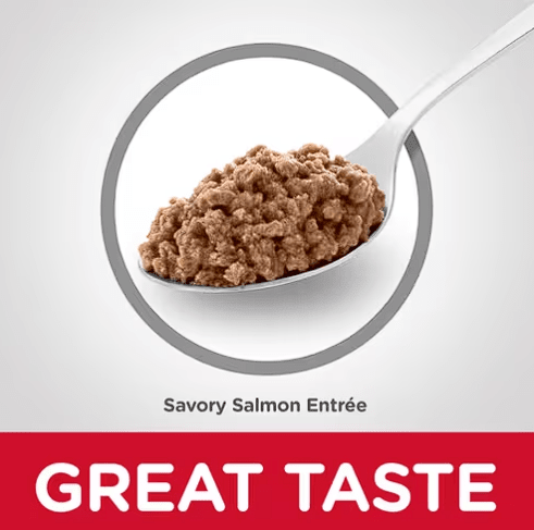 Hills SD FELINE ADULT SALMÓN (Lata 156gr)2