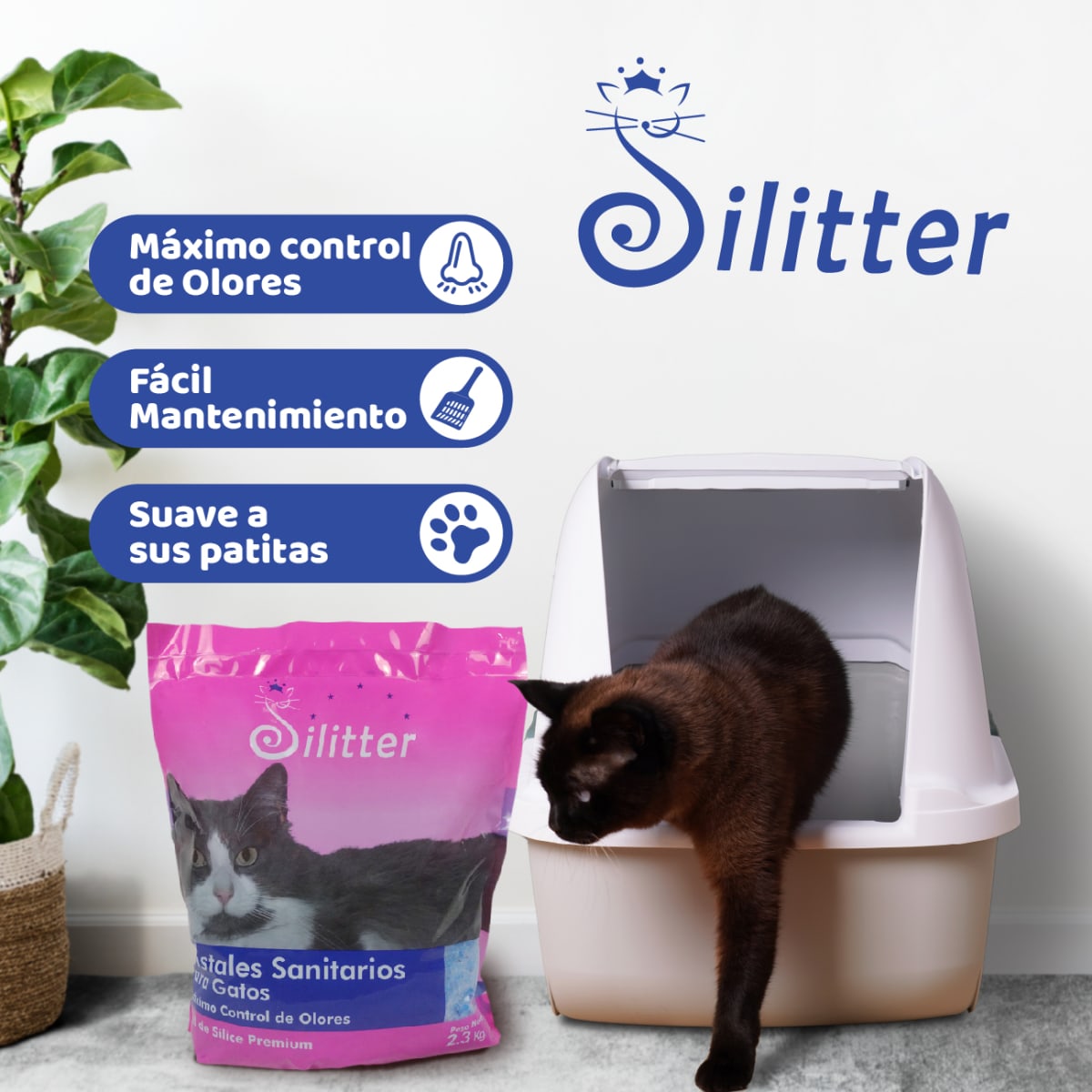 SILITTER CRISTALES FINOS PATA GATO 2.3KG3