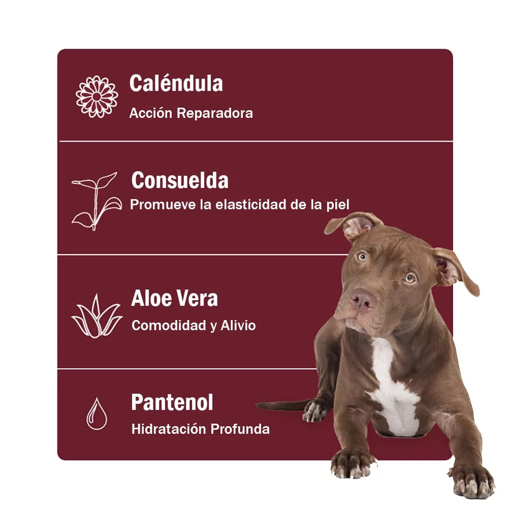 Soft Care Loción Reestructurante PSK para Perros y Gatos - 50gr3