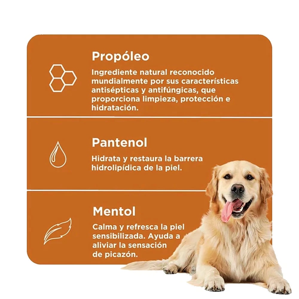 Soft Care ProCalm Shampoo - 300ml2