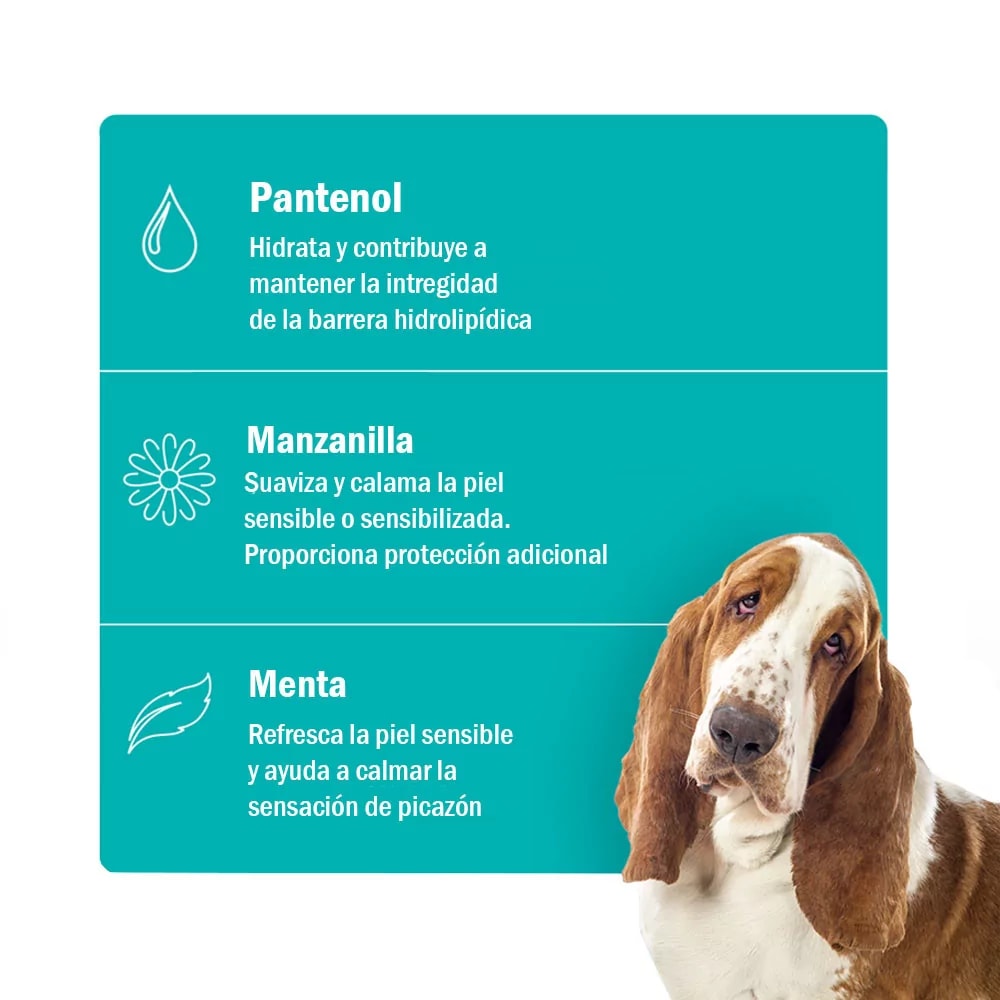 Soft Care Oto Clean Up para Perros y Gatos - 100ml3