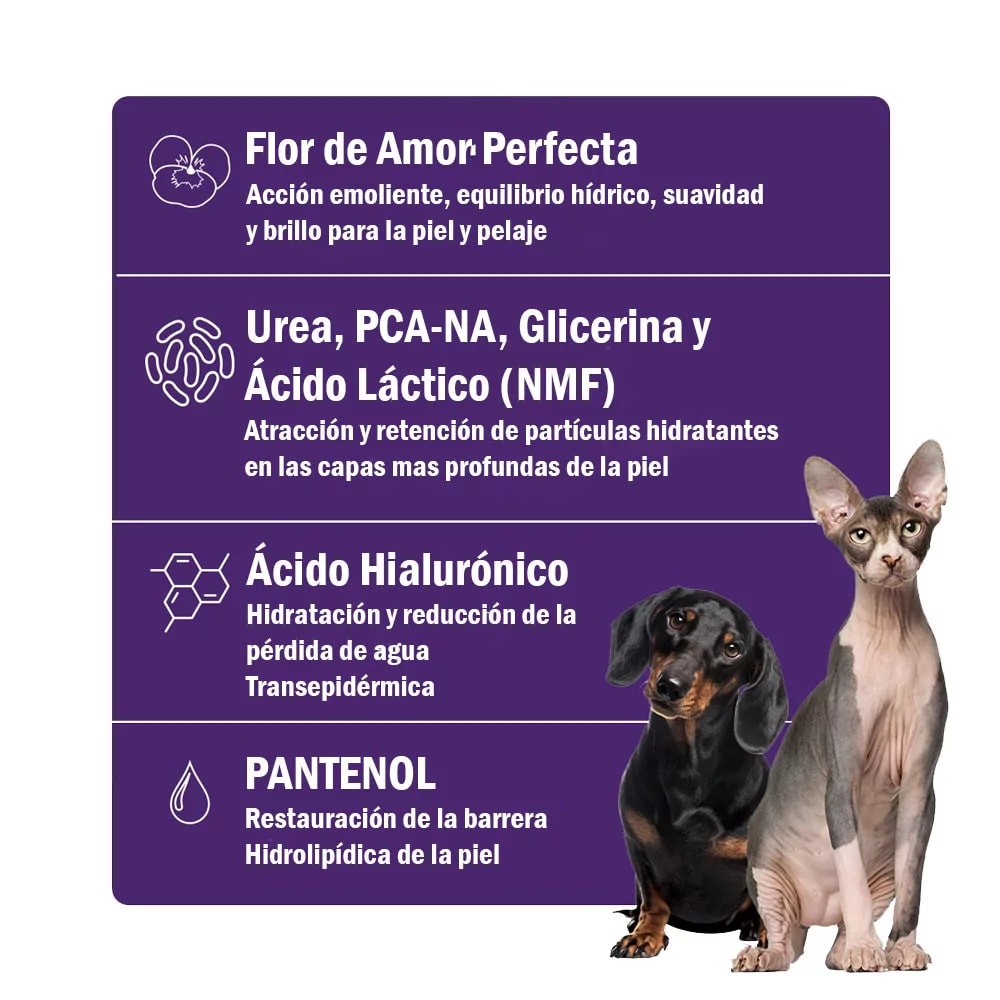 Soft Care Hydra - T 240ml4