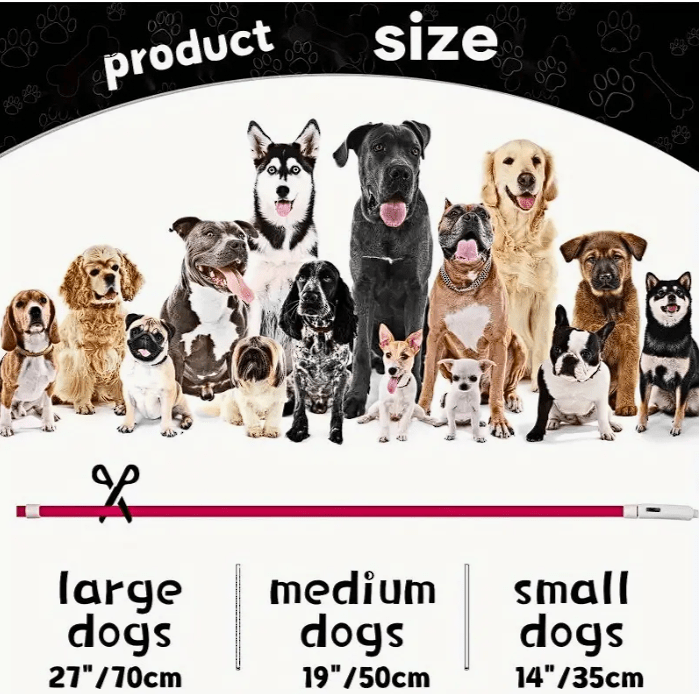 Collar Luminoso LED recargable Rojo (Large)2