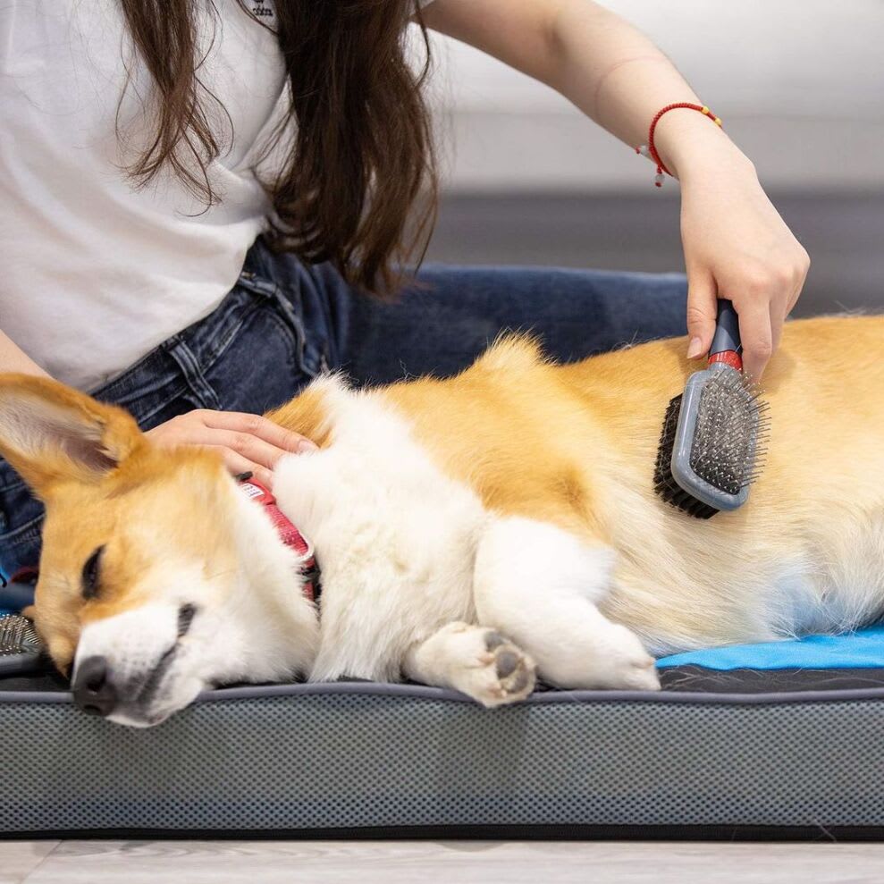 Gigwi grooming cepillo doble3