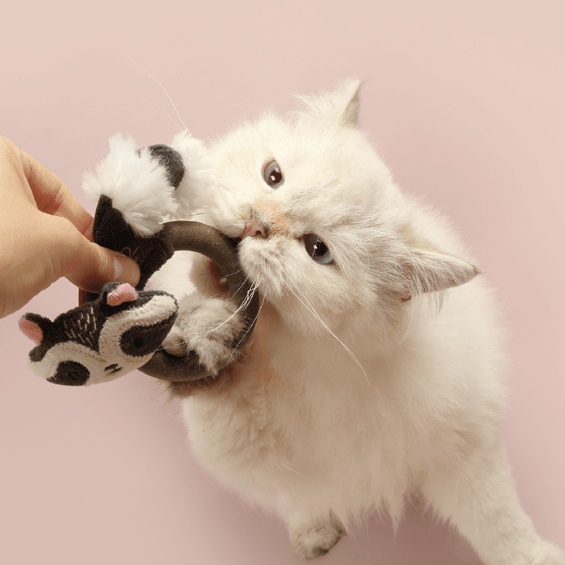 GIGWI RACOON ECO LINE3