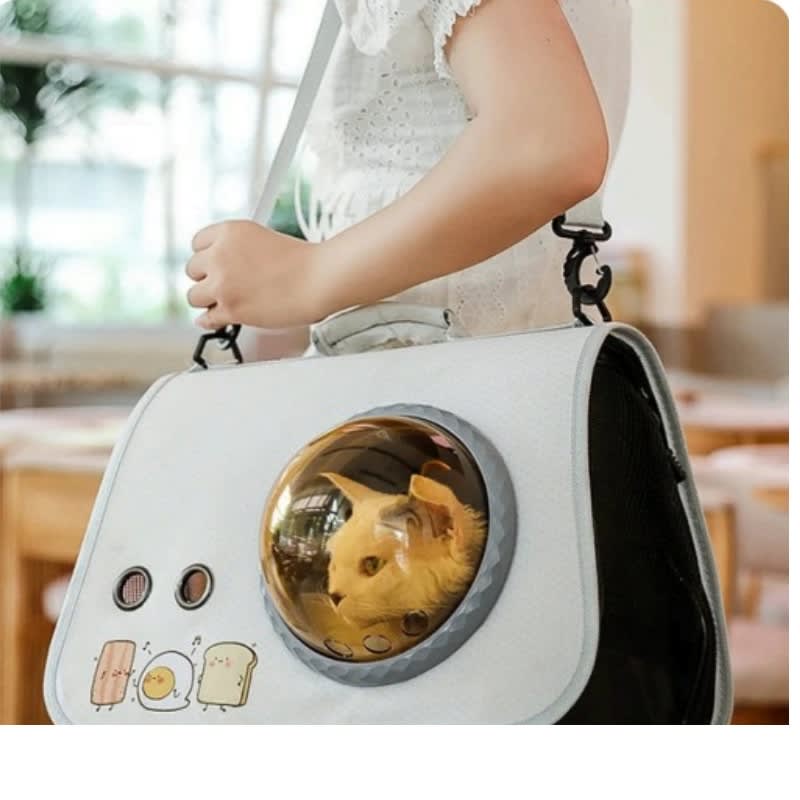 Transportador con Ventana - Negro4