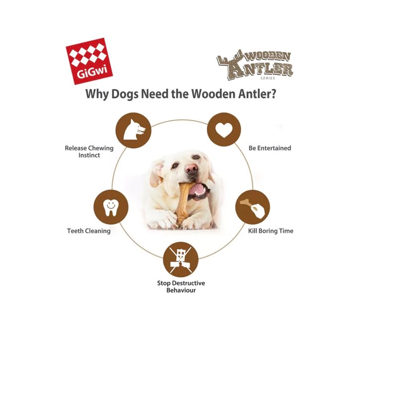 Gigwi wooden antler strong (asta de madera) Talla Small3