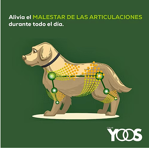 Collar Yoos para Dolor Articular - Medium/Large3