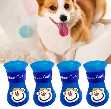Zapato para perro de silicona para LLuvia (Medium Azul)1