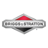 Briggs & Stratton