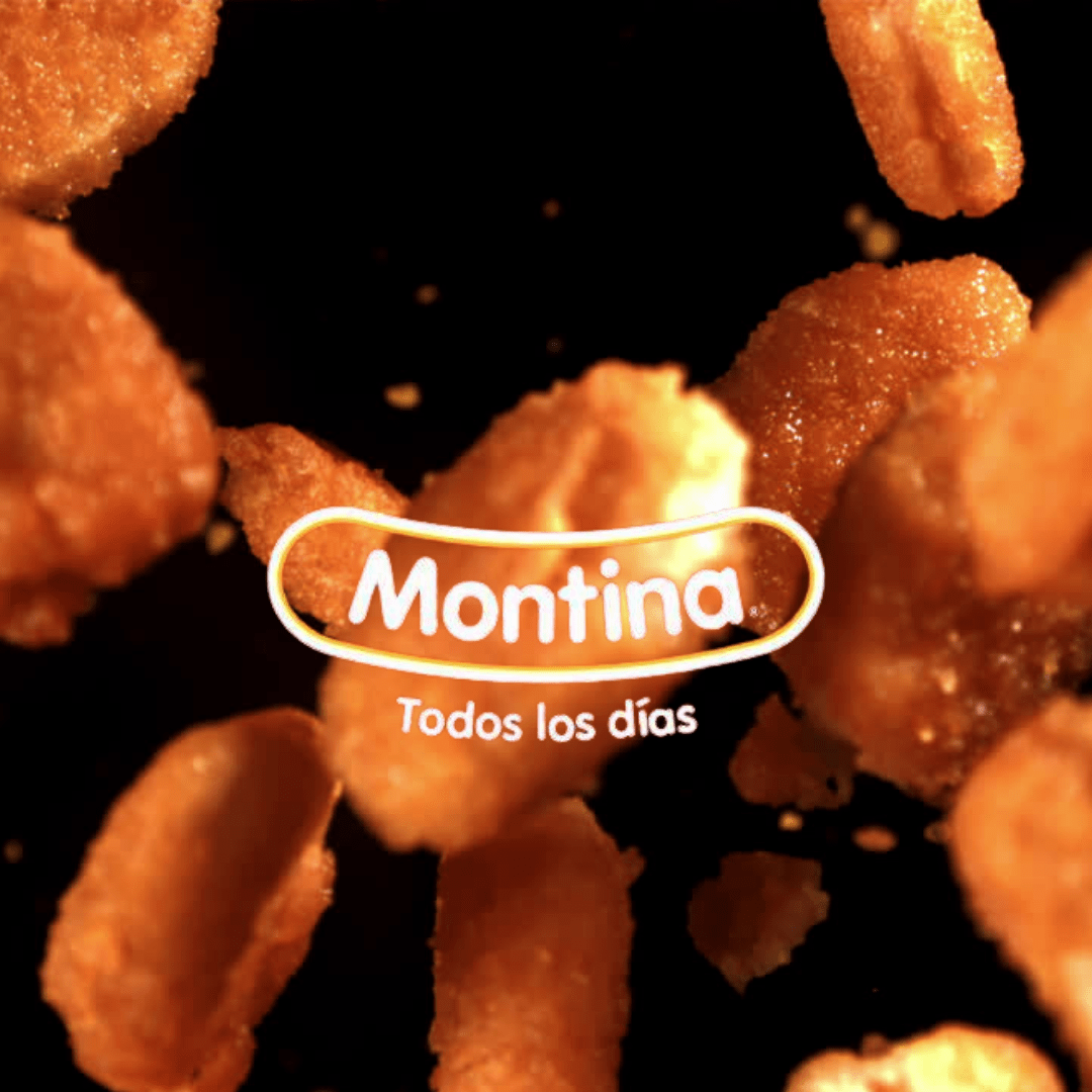 Nuggets de pollo Marca Montina2