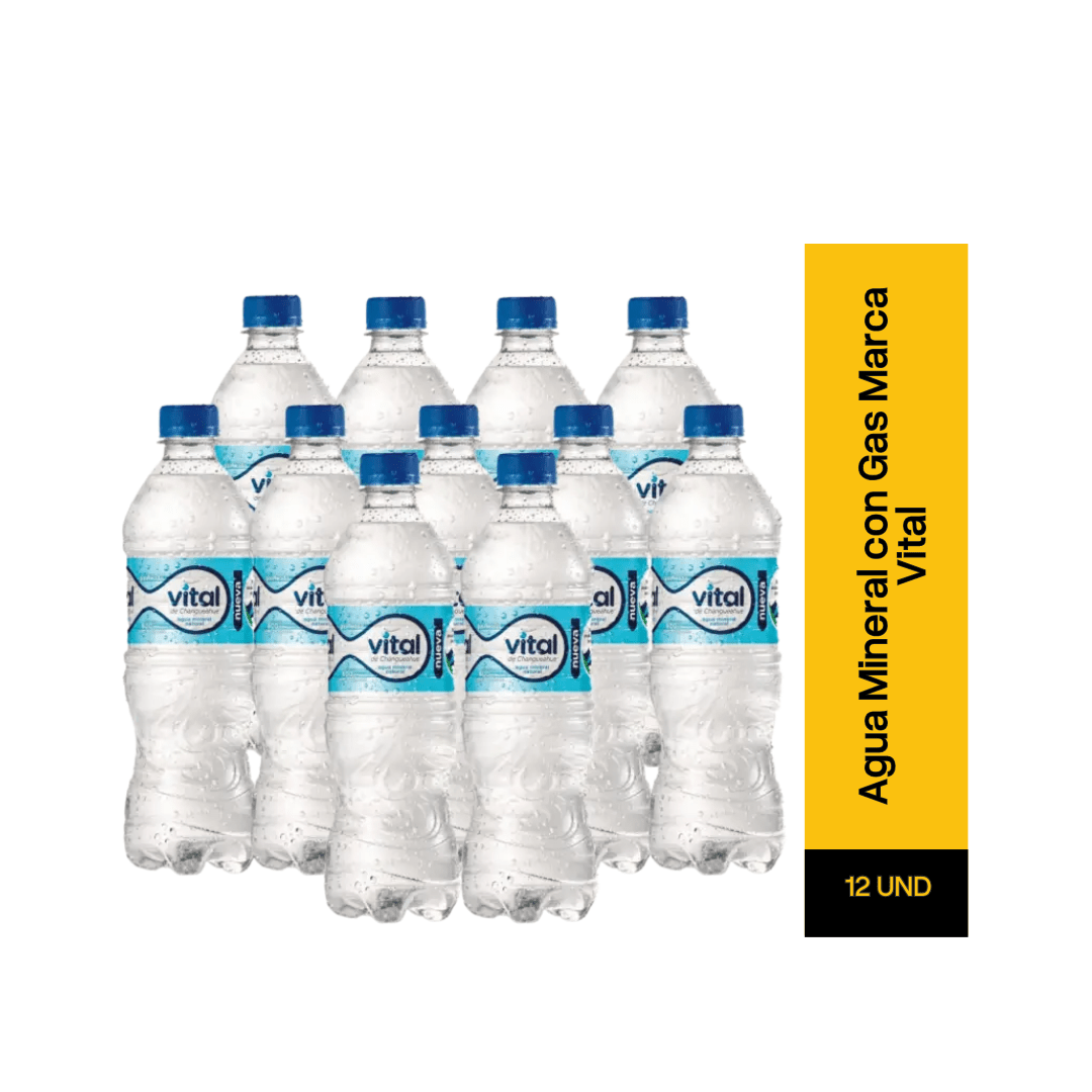 Agua Mineral Pack con Gas Marca Vital3