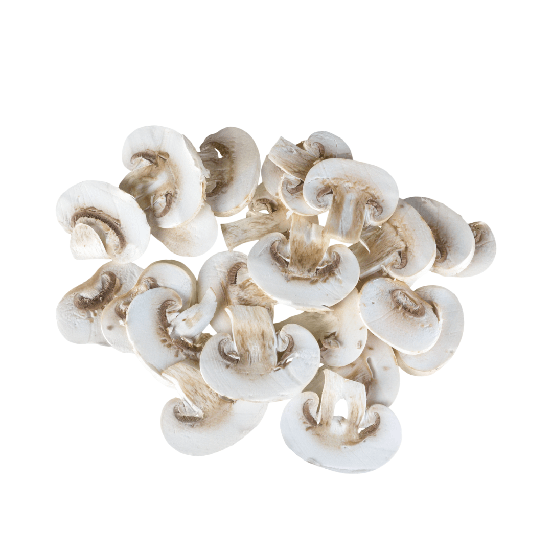 Champiñón Marca El Buho2